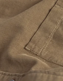 Chemise regular beige coton bio velours milleraies Homme