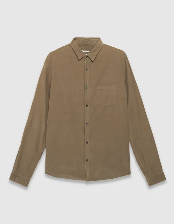 Chemise regular beige coton bio velours milleraies Homme