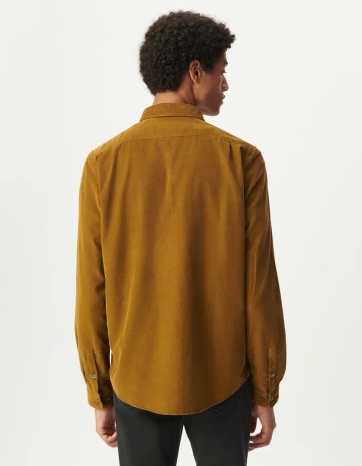 Chemise regular jaune coton bio velours milleraies Homme