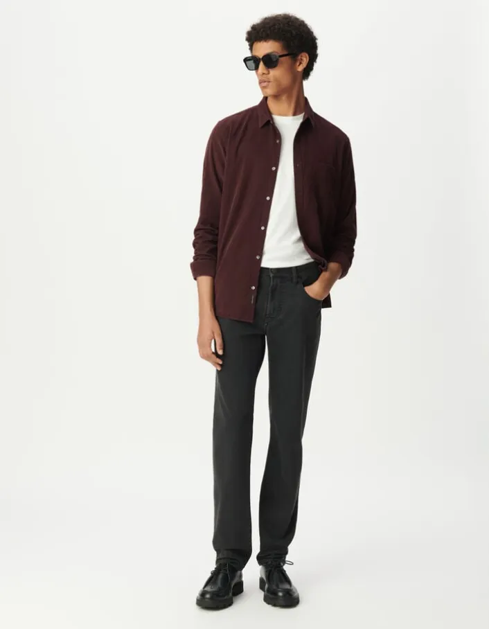 Chemise regular prune coton bio velours milleraies Homme