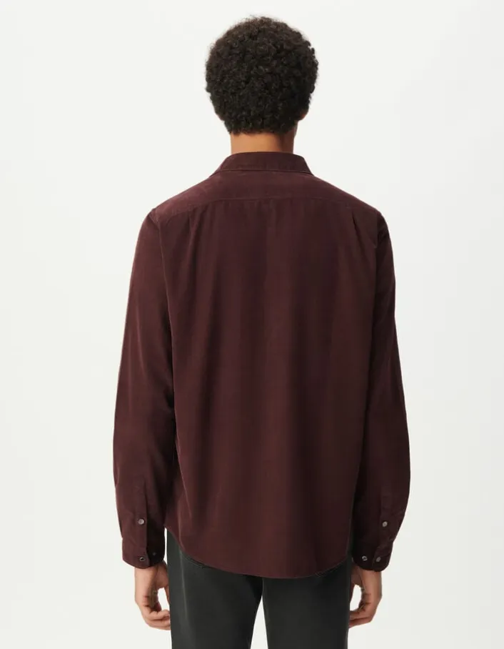 Chemise regular prune coton bio velours milleraies Homme