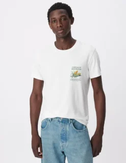 T-shirt manches courtes blanc visuels maïs Homme